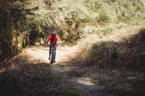 Ciclista de montaña montando en el camino de tierra por los árboles en el bosque - foto de stock