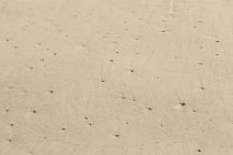 Закрыть песок на пляже — стоковое фото