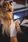 Cabeleireiro tingir o cabelo de seu cliente no salão — Fotografia de Stock