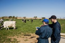 Landarbeiter diskutieren über Tablet-Computer auf Feld — Stockfoto