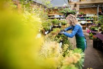 Beautiful woman checking potted plants in garden centre — Stock Photo