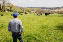 Вид ззаду працівника ферми, що стоїть на трав'янистому полі — стокове фото