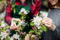 Frau kontrolliert Blumen in Gartencenter — Stockfoto