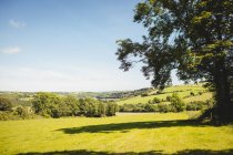 Scenic view of beautiful rural landscape in daytime — Stock Photo