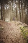 Distance view of mountain biker riding on dirt road in forest — Stock Photo