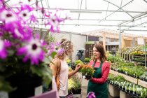 Floristería femenina hablando con la mujer sobre plantas en el centro del jardín - foto de stock