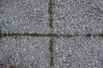 Close-up of four blocks in paved road — Stock Photo