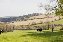 Vista lateral del hombre de pie junto a la vaca en el campo de hierba contra el cielo - foto de stock