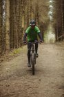 Vista frontal do ciclista de montanha andando na estrada de terra em meio a árvore na floresta — Fotografia de Stock