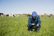 Farm worker using tablet computer while crouching on grassy field — Stock Photo