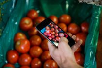 Imagem cortada do homem tirando foto de tomates em exposição na seção orgânica no supermercado — Fotografia de Stock