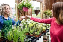 Frau zahlt mit Kreditkarte bei Blumengeschäft im Gartencenter — Stockfoto