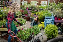 Zwei Floristinnen arbeiten in Gartencenter zusammen — Stockfoto