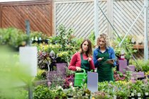 Zwei Floristinnen nutzen digitales Tablet im Gartencenter — Stockfoto