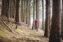 Полная длина горных велосипедистов в лесах — стоковое фото