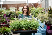 Portrait of female florist holding tray of potted plants in garden centre — Stock Photo