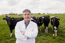 Портрет уверенного ветеринара, стоящего против коров на поле — стоковое фото