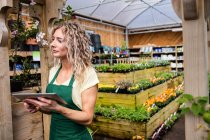 Floristin hält digitales Tablet im Gartencenter — Stockfoto
