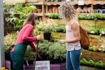 Female florist showing potted plants to woman in garden centre — Stock Photo