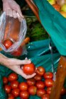 Обрізане зображення Чоловік тримає пластиковий пакет і купує помідори в супермаркеті — стокове фото