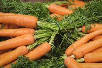 Close-up of fresh carrots in supermarket display — Stock Photo