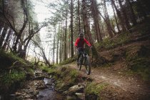 Frontansicht des Mountainbikers, der im Wald am Bach entlang fährt — Stockfoto