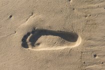 Fußabdruck im Sand am Strand — Stockfoto
