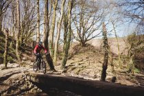 Гірський велосипедист на пішохідному мосту деревами в лісі — стокове фото