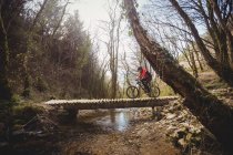 Mountainbiker fährt auf Fußgängerbrücke über Bach im Wald — Stockfoto