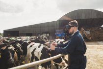 Vista laterale dell'agricoltore utilizzando il simulatore di realtà virtuale vicino alla recinzione nel fienile — Foto stock