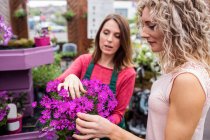 Floristin und Frau betrachten Blumen im Gartencenter — Stockfoto