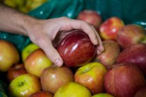 Imagen recortada del hombre sosteniendo manzana en el supermercado - foto de stock
