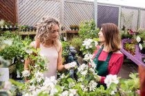 Floristería femenina hablando con mujer que compra planta en jardín centro - foto de stock