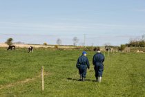 Vista trasera de los trabajadores agrícolas caminando en el campo de hierba contra el cielo - foto de stock