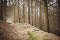 Vue à distance du cycliste masculin sur route de terre dans la forêt — Photo de stock