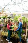 Две женщины-флористки держат в горшке растение в центре сада — стоковое фото
