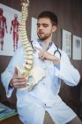 Fisioterapeuta explicando modelo de coluna na clínica — Fotografia de Stock