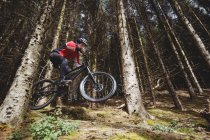 Montanha motociclista pulando com bicicleta na floresta — Fotografia de Stock