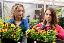 Duas floristas do sexo feminino verificando plantas no centro de jardim — Fotografia de Stock