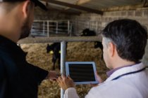 Vet showing digital tablet to farm worker by fence in barn — Stock Photo