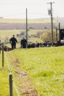 Сельскохозяйственные рабочие прогуливаются на травянистом поле в солнечный день — стоковое фото