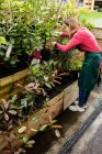 Женщина-флористка проверяет горшки с растениями в центре сада — стоковое фото