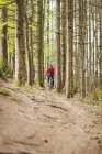 Горный велосипедист едет по грунтовой дороге среди деревьев в лесу — стоковое фото
