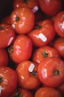 Close-up of fresh tomatoes in supermarket — Stock Photo