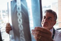 Arzt untersucht Röntgenbild im Krankenhaus — Stockfoto
