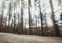 Горный велосипедист едет по грунтовой дороге против деревьев в лесу — стоковое фото