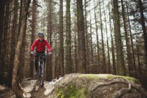 Mountain biker montando na estrada de terra em meio a árvores na floresta — Fotografia de Stock