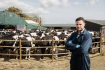 Ritratto di lavoratore agricolo in piedi contro mucche da recinzione — Foto stock