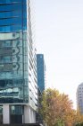 Городская сцена офисных зданий при дневном свете — стоковое фото