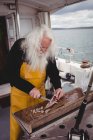 Close up of fisherman filleting fish on boat — Stock Photo
